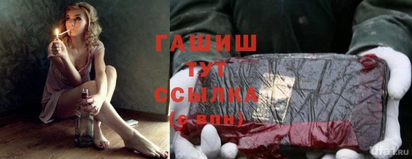 гашик Алексеевка
