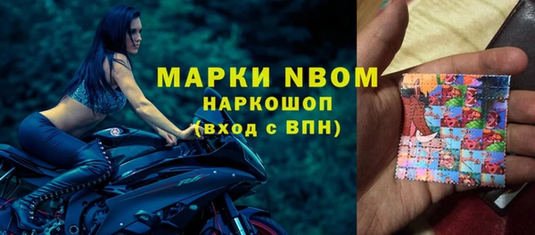 гашик Алексеевка