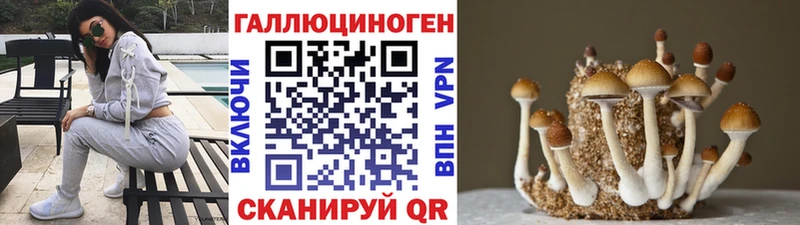 даркнет сайт  Александровское  Псилоцибиновые грибы прущие грибы 